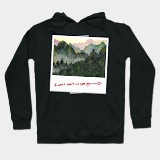 I can't wait to see you! Hoodie